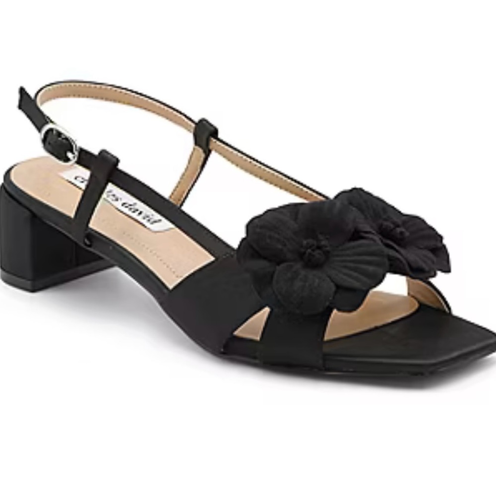 Charles David Women’s Dean Strap Sandals.
NEW IN BOX Size 8 Mediium
